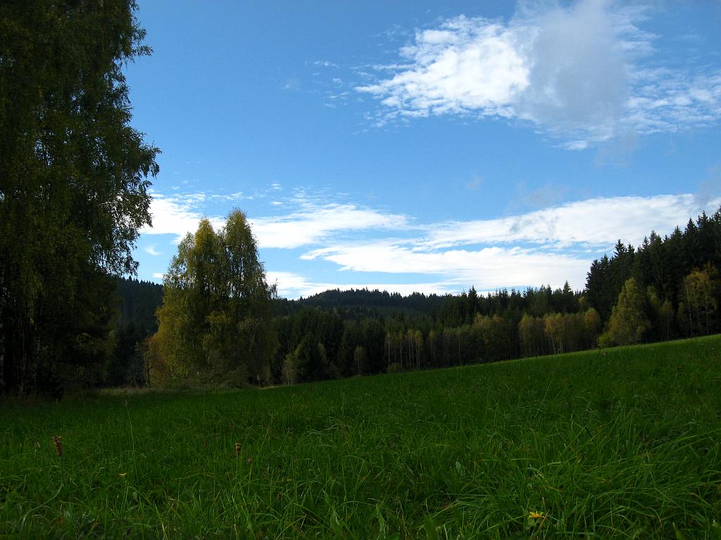 IMG_6612.jpg