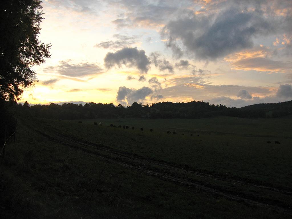 IMG_6631.jpg
