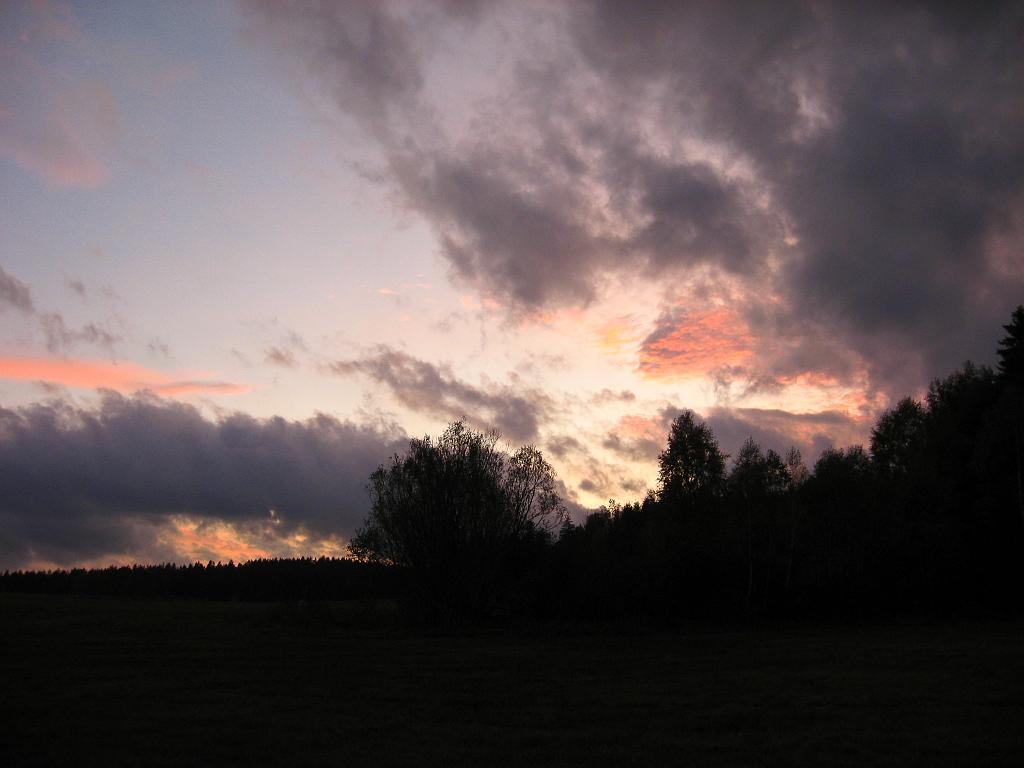 IMG_6633.jpg