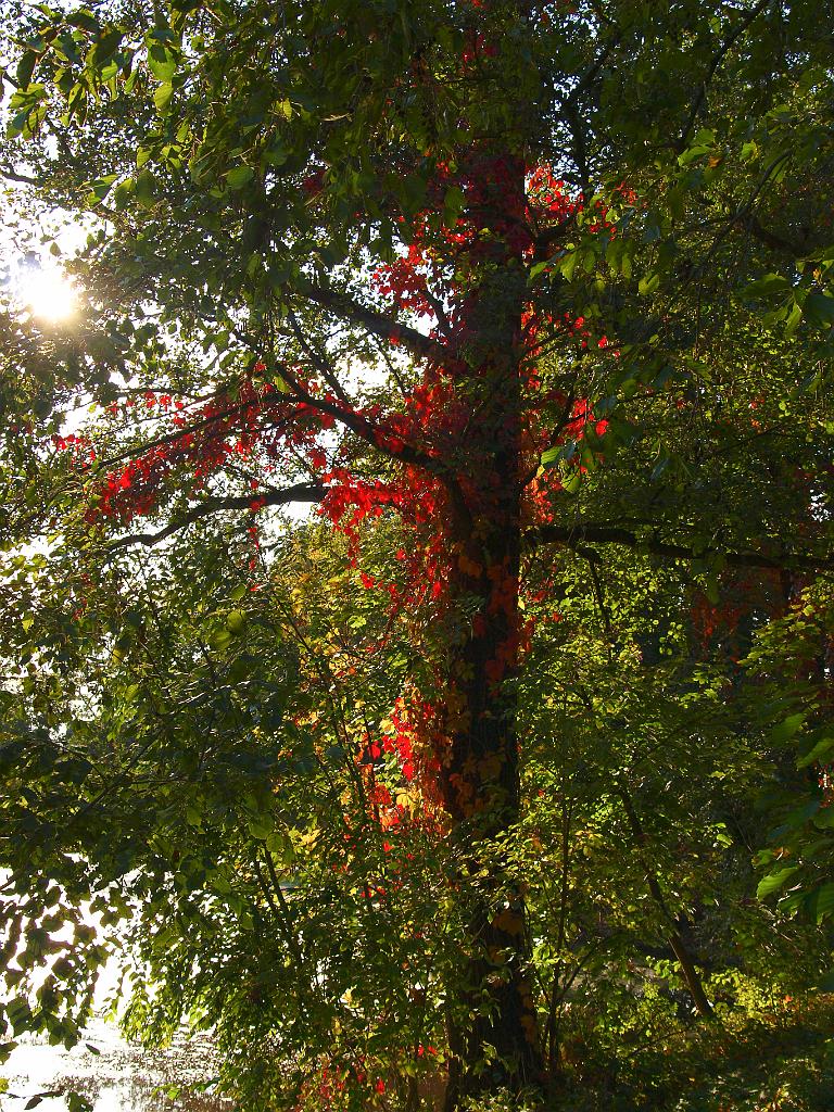 PA130852.jpg - OLYMPUS DIGITAL CAMERA