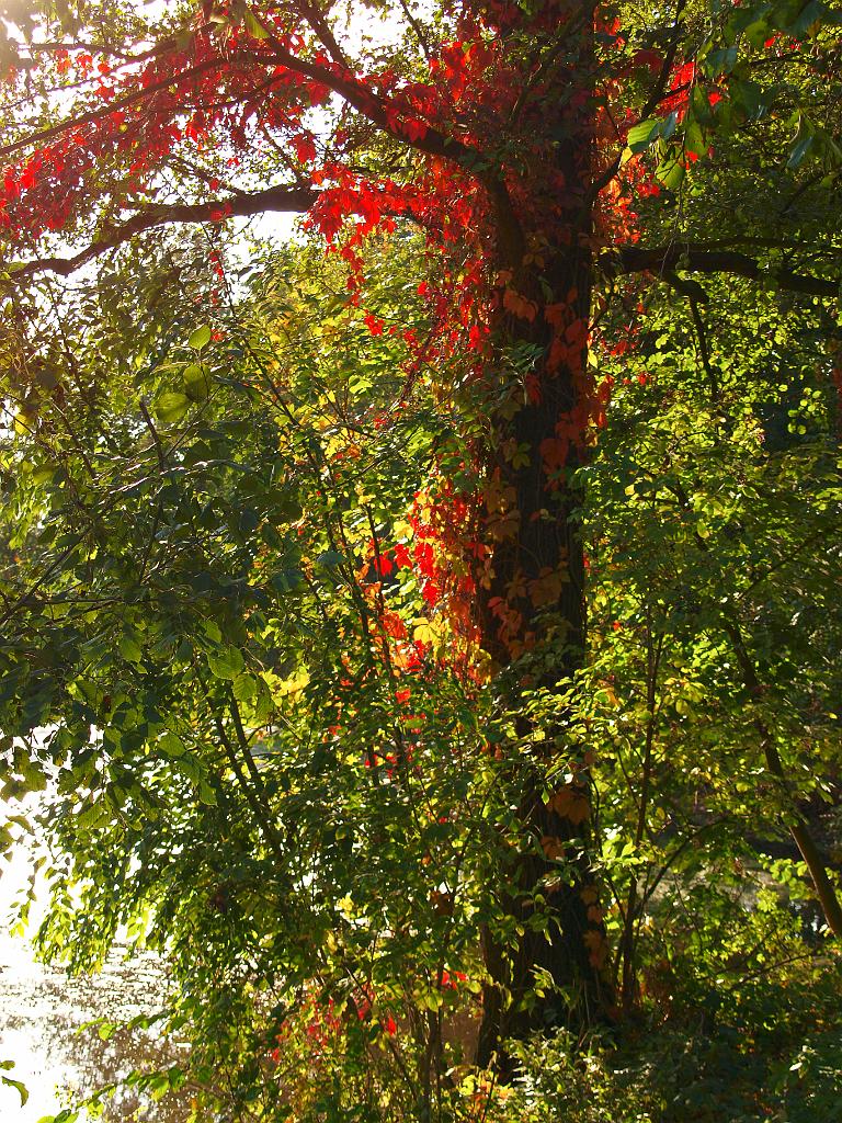 PA130853.jpg - OLYMPUS DIGITAL CAMERA