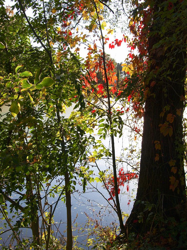 PA130859.jpg - OLYMPUS DIGITAL CAMERA