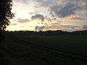 IMG_6631
