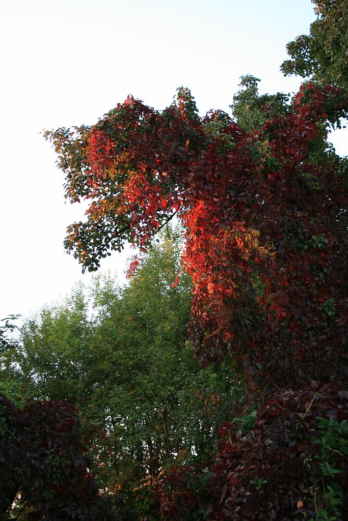 120928-19.JPG