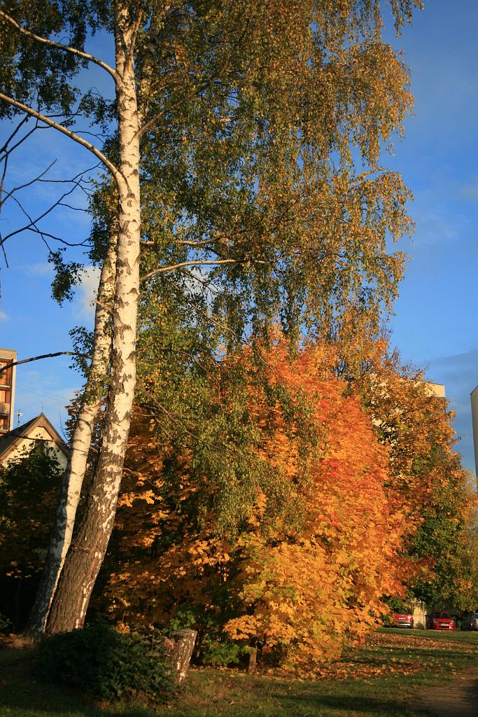 121016-13.JPG