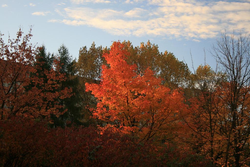 121016-18.JPG