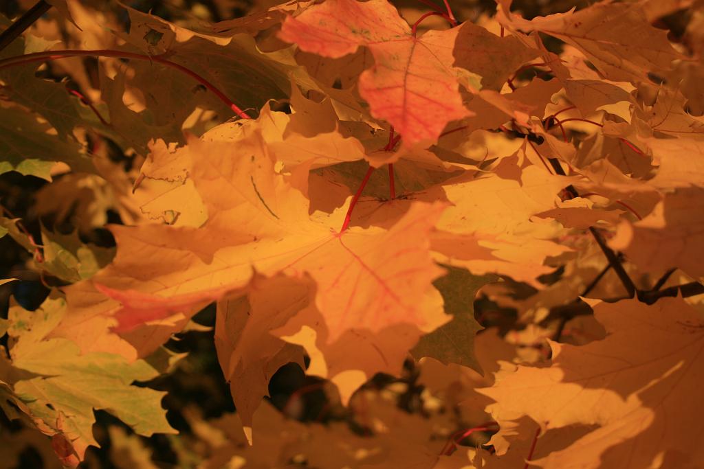 121016-19.JPG