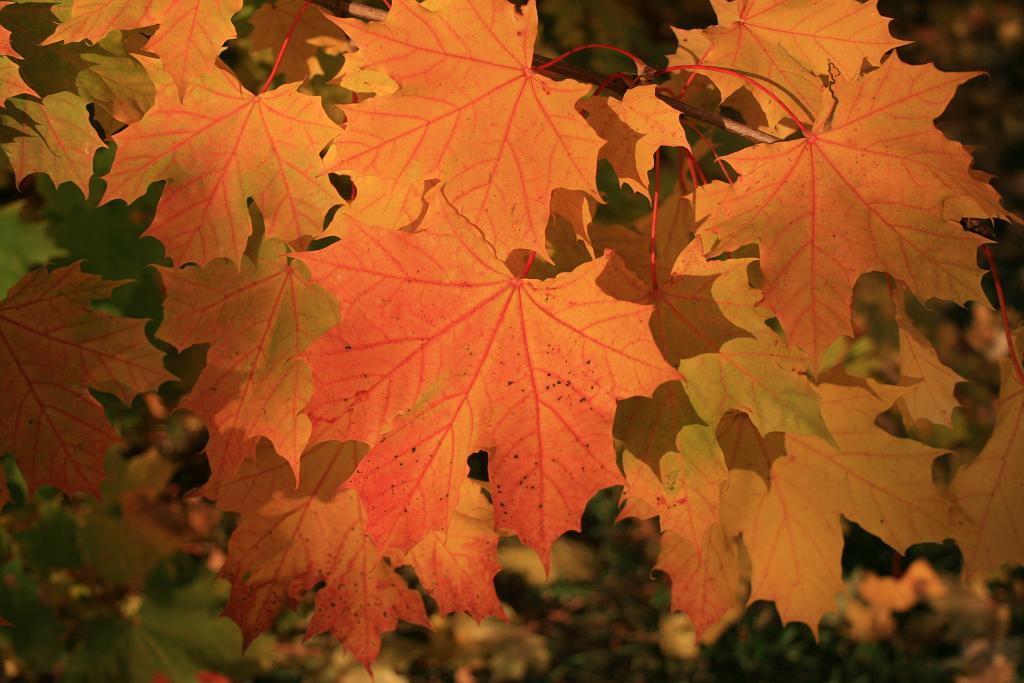 121016-21.JPG