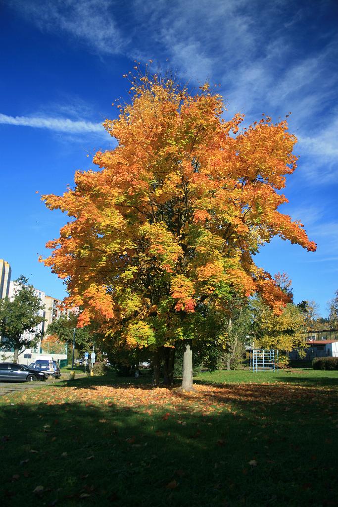 121019-01.JPG