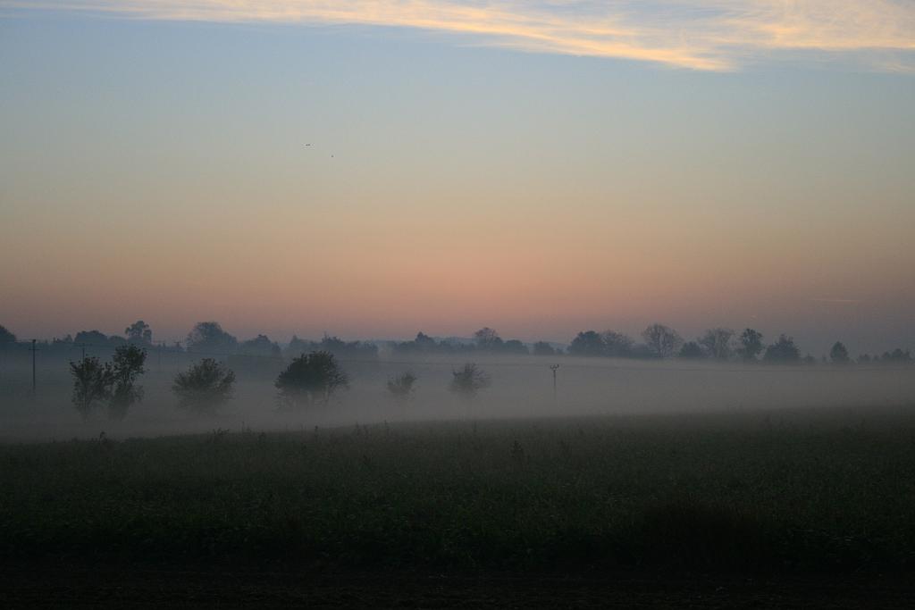 121020-09.JPG