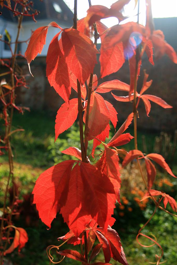 121020-24.JPG