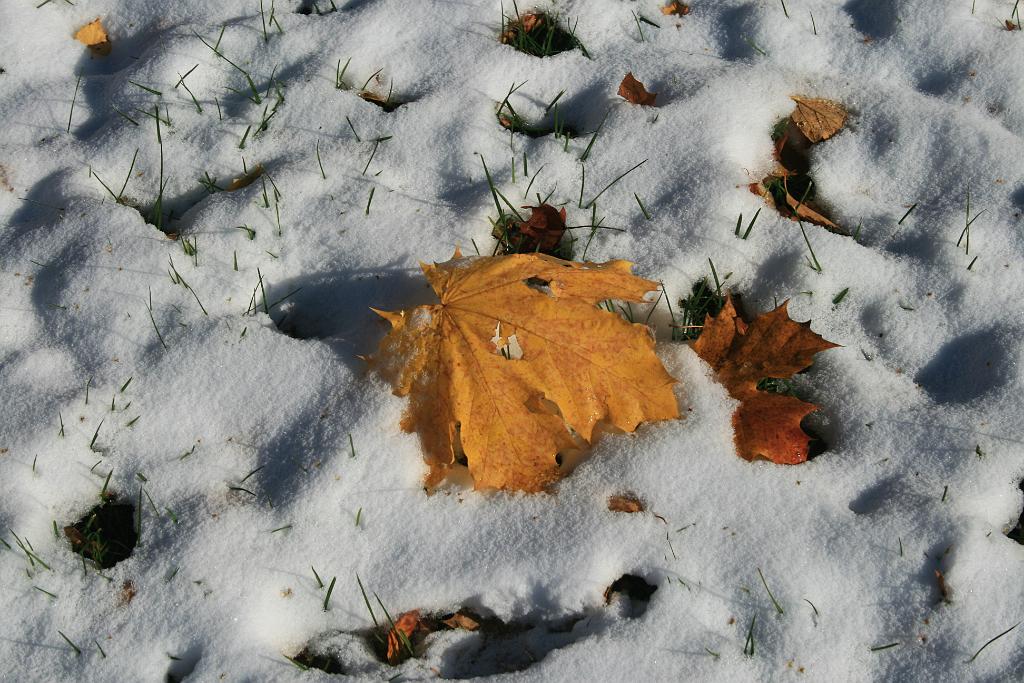 121028-01.JPG