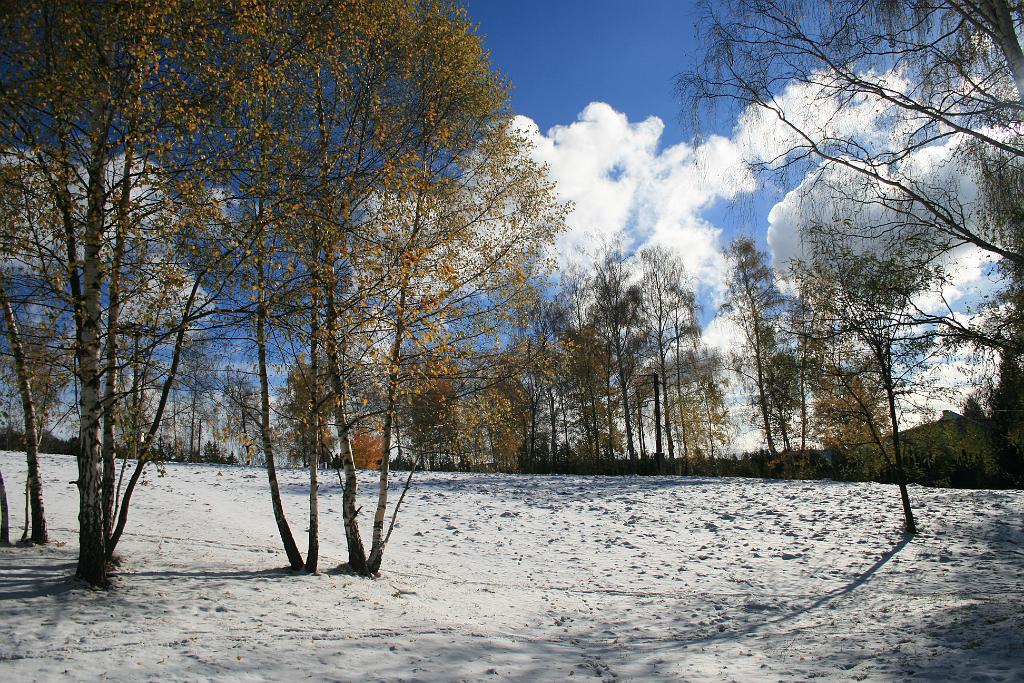 121028-07.JPG