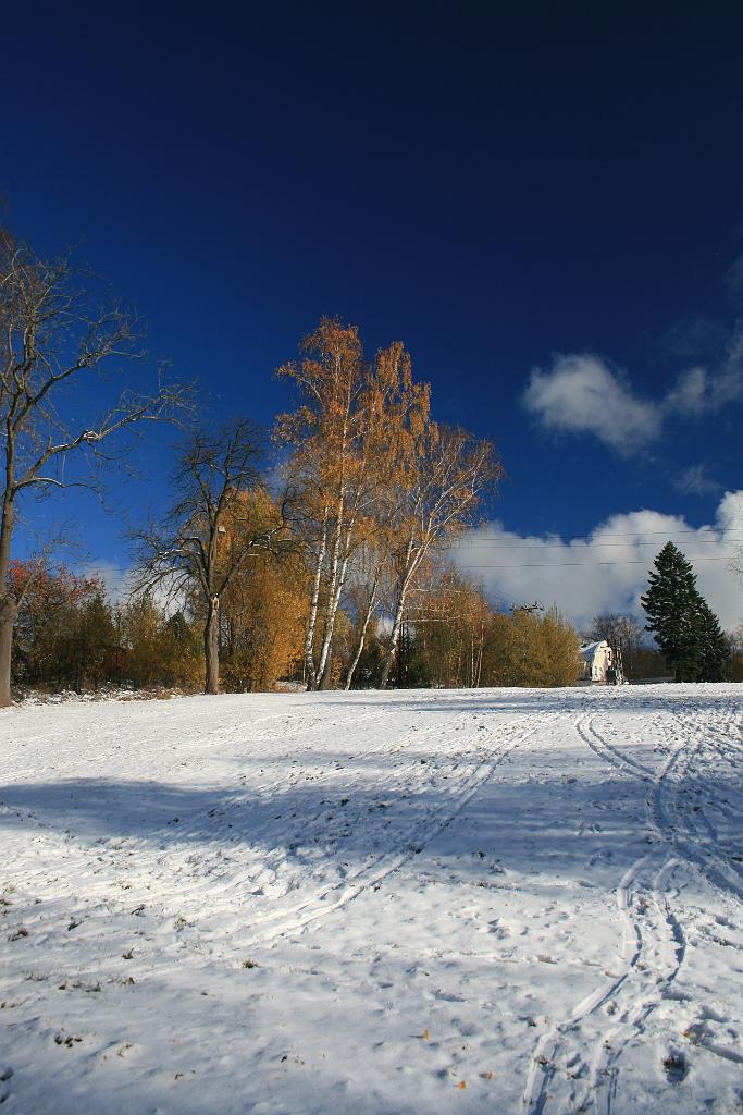 121028-08.JPG