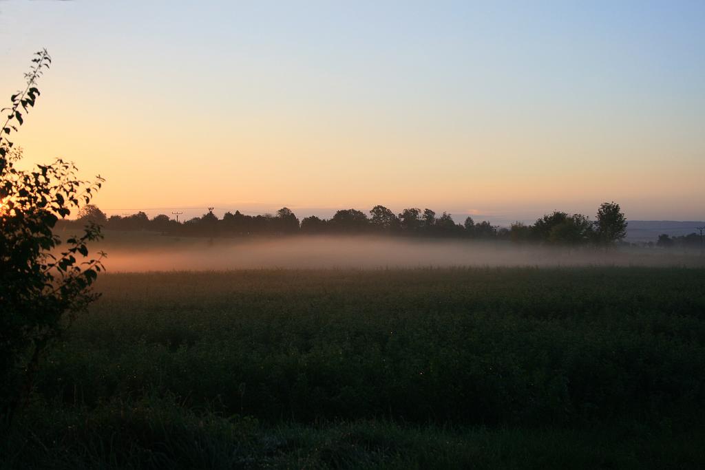 129006-04.JPG