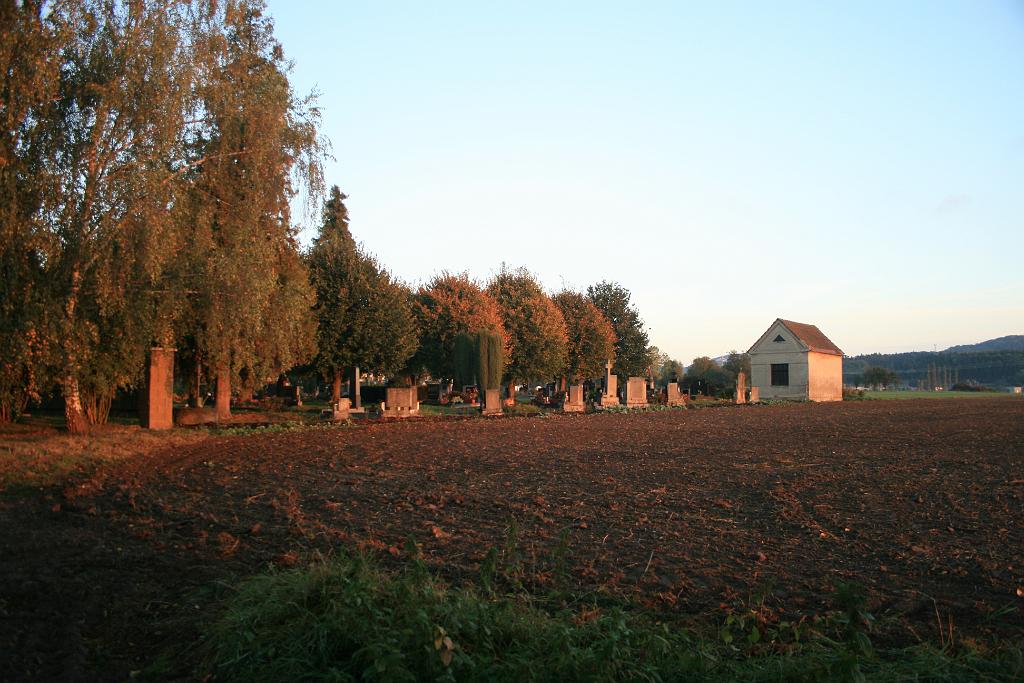 129006-05.JPG