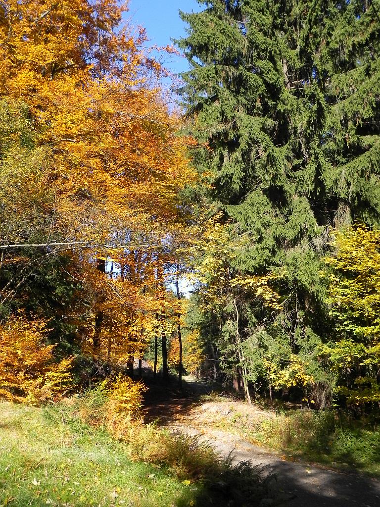 DSCN4834.jpg - Ještěd