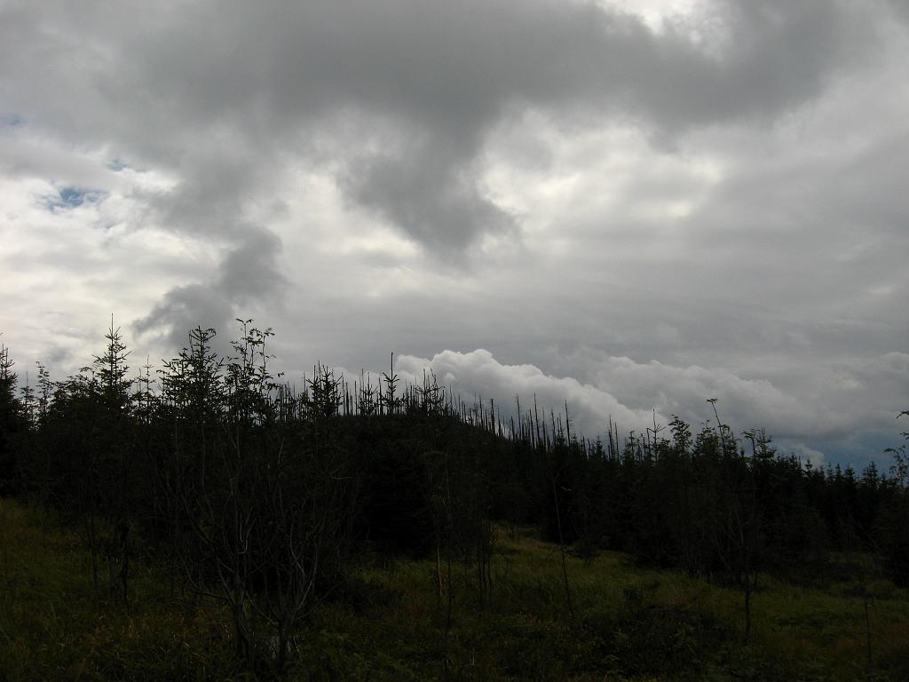 IMG_1070.jpg