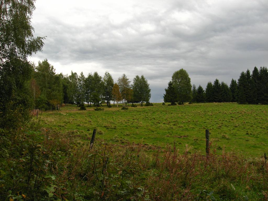 IMG_1094.jpg