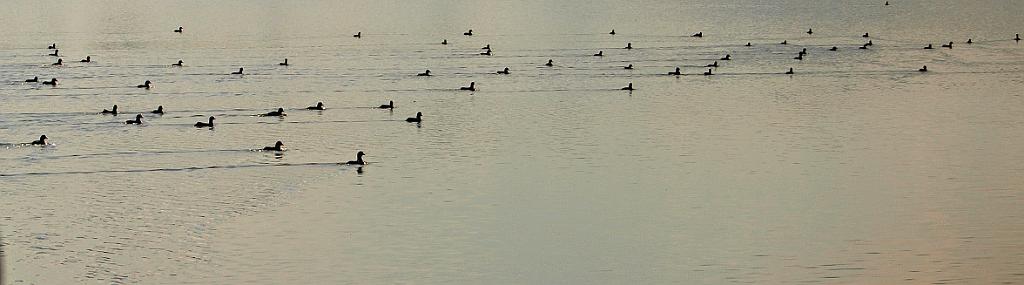 P9233579.JPG