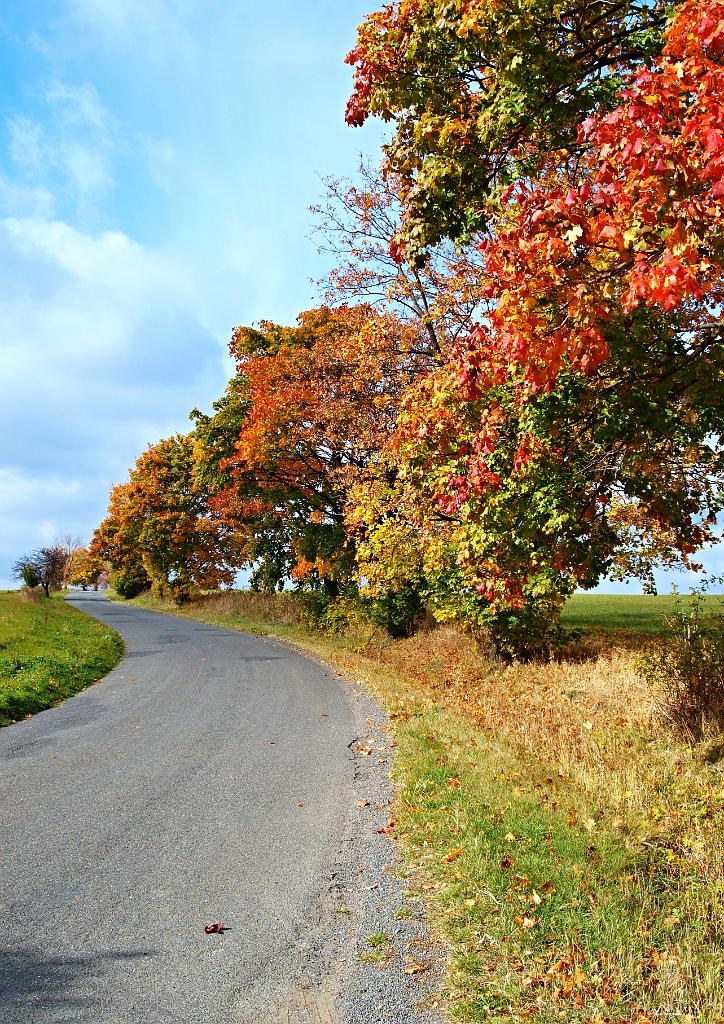 PA103916.JPG