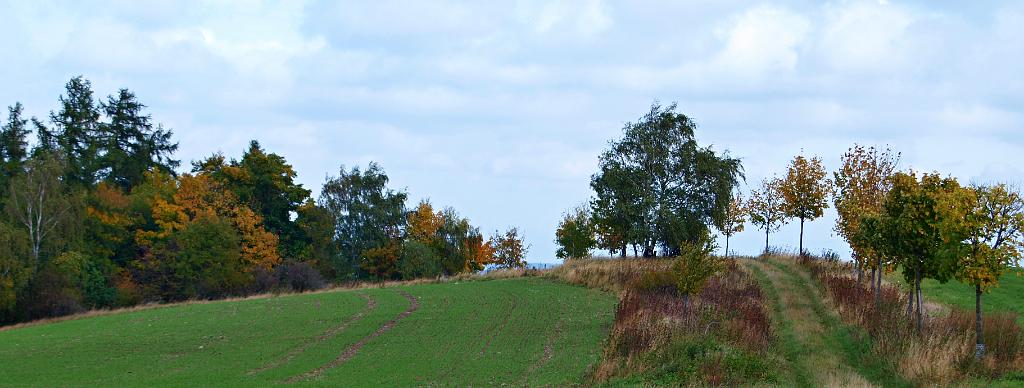 PA103937.JPG