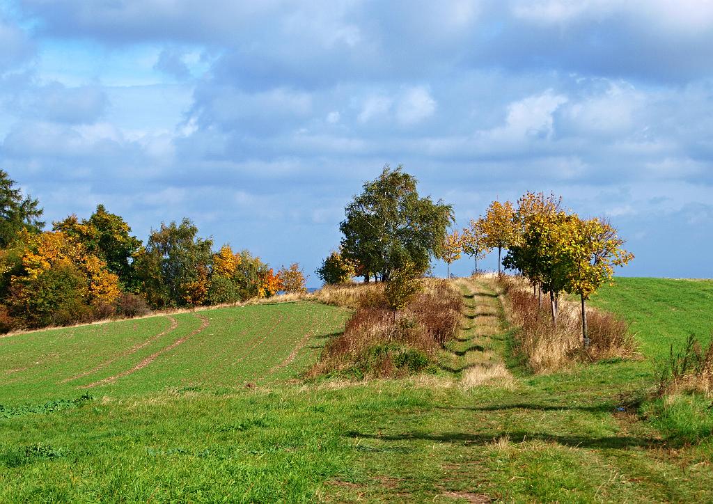 PA103940.JPG