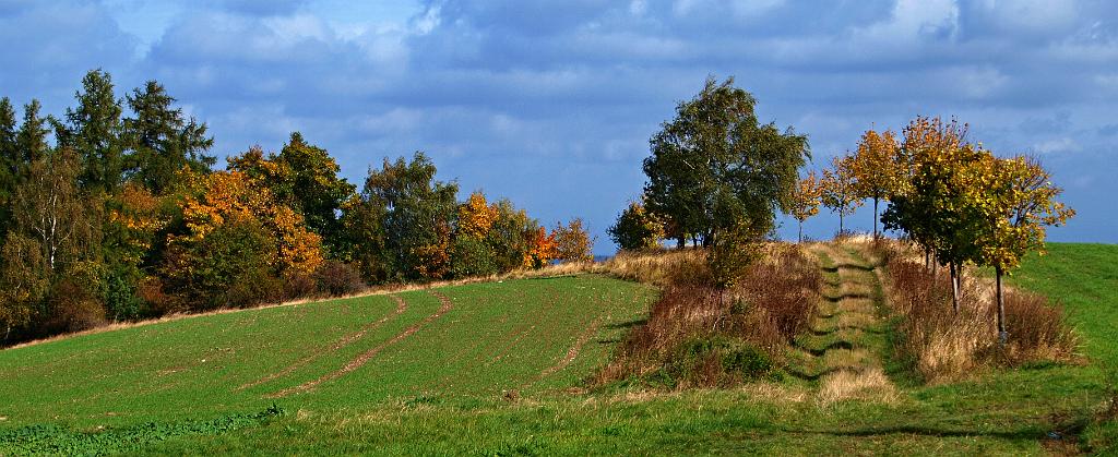 PA103941.JPG