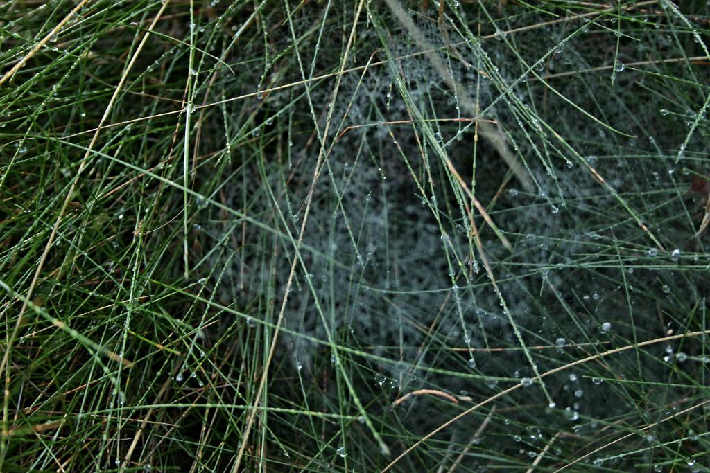 130905-06.JPG