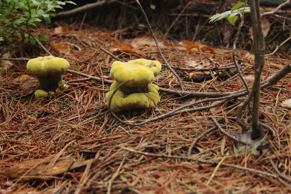 130905-10.JPG