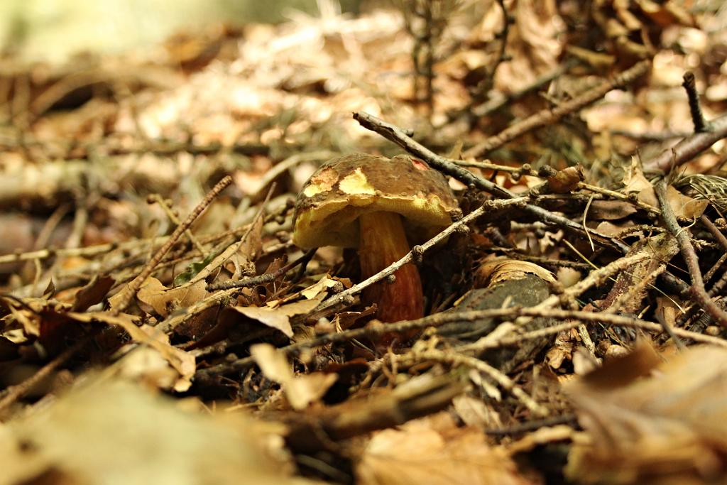 131002-06.JPG