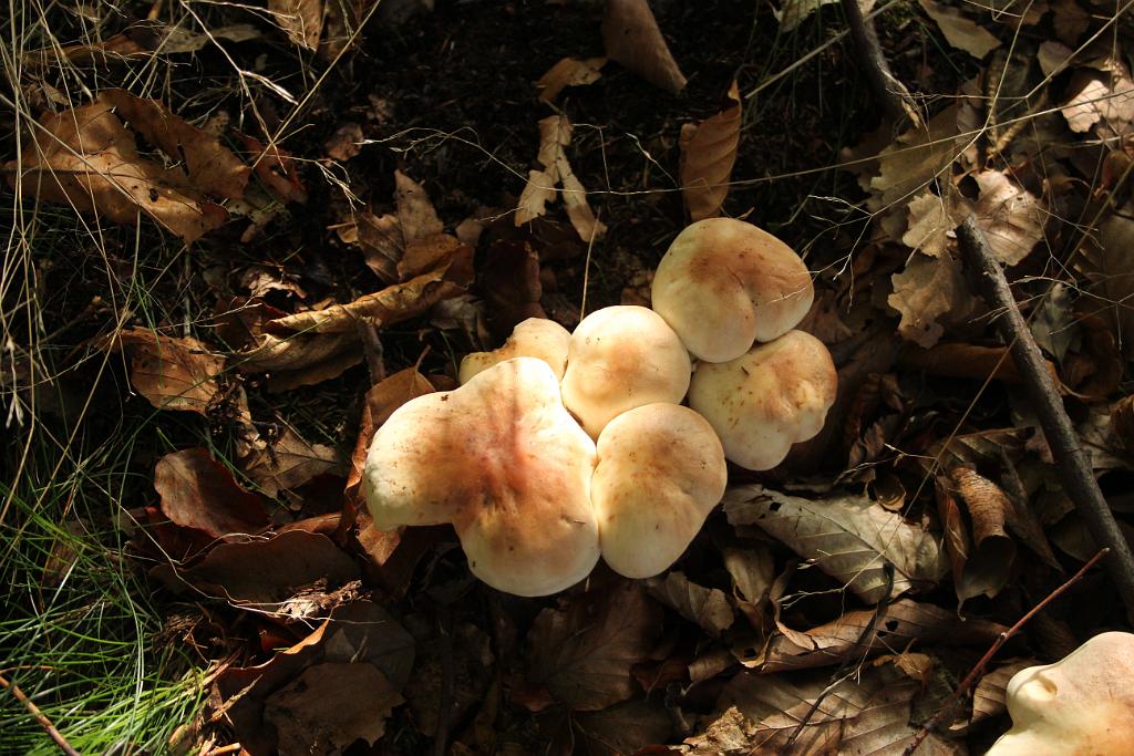 131002-13.JPG