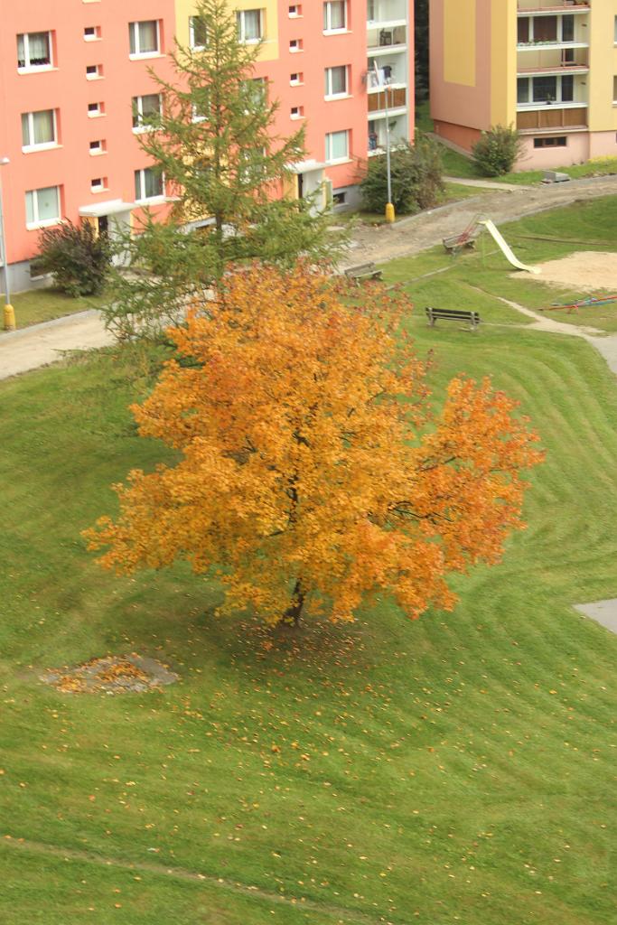 131010-01.JPG - Ve Mšeně