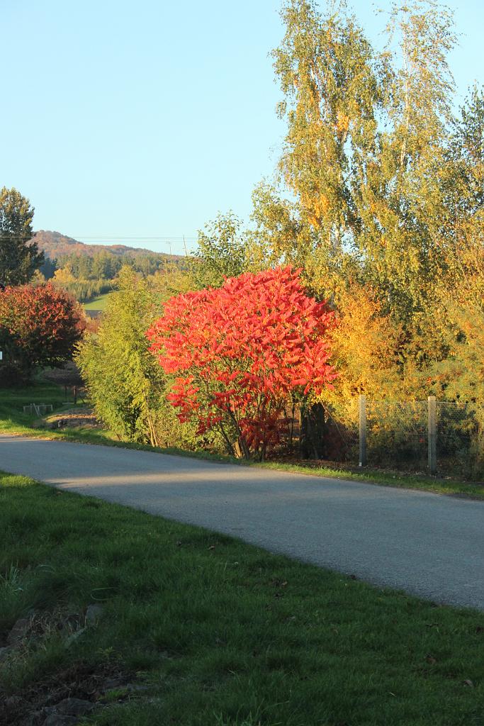 131013-02.JPG - V Radimi