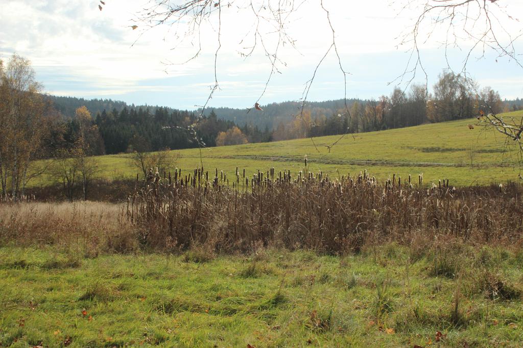 131028-48.JPG