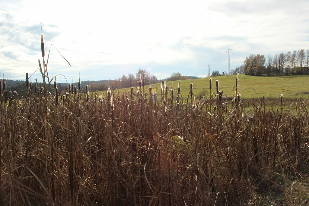 131028-49.JPG
