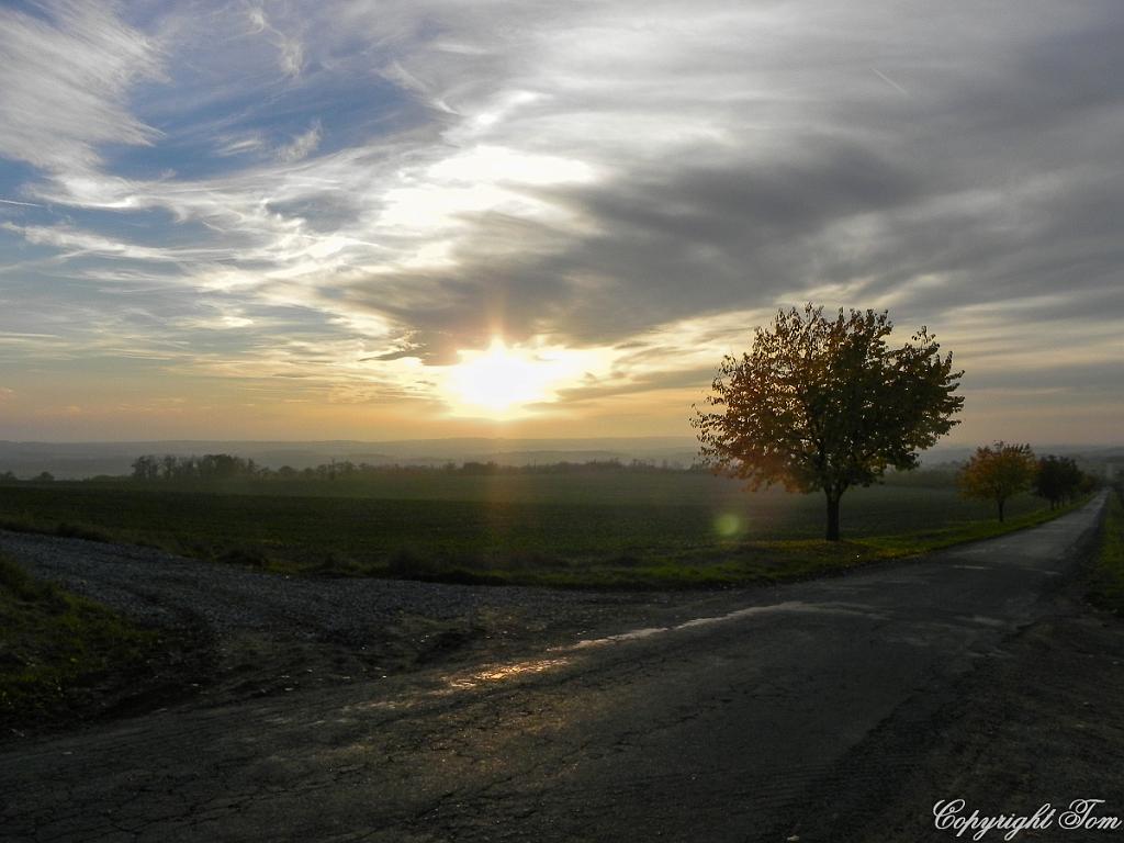 DSCN9158.jpg