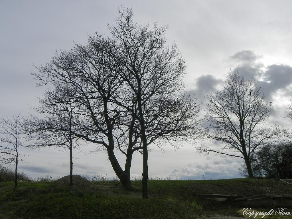DSCN9229.jpg - CHKO Třeboňsko