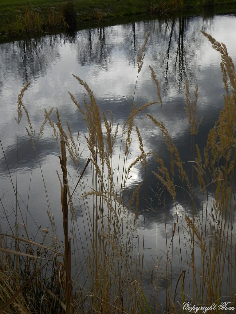 DSCN9247.jpg - Holašovice