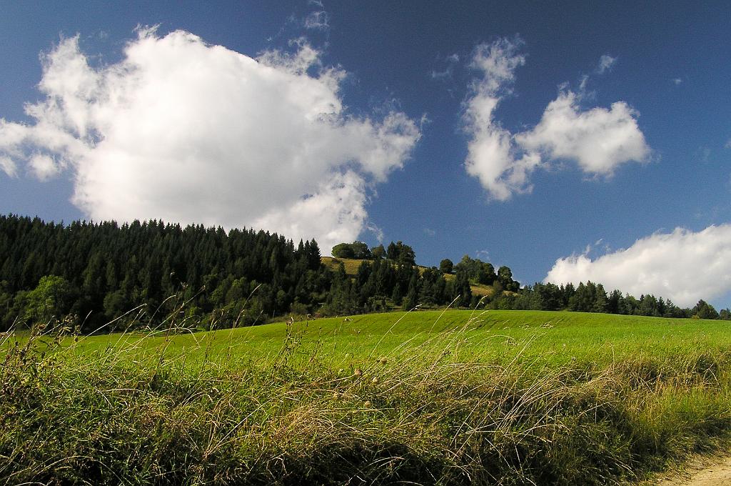 P9150088.jpg - Malá Fatra - Zázrivá