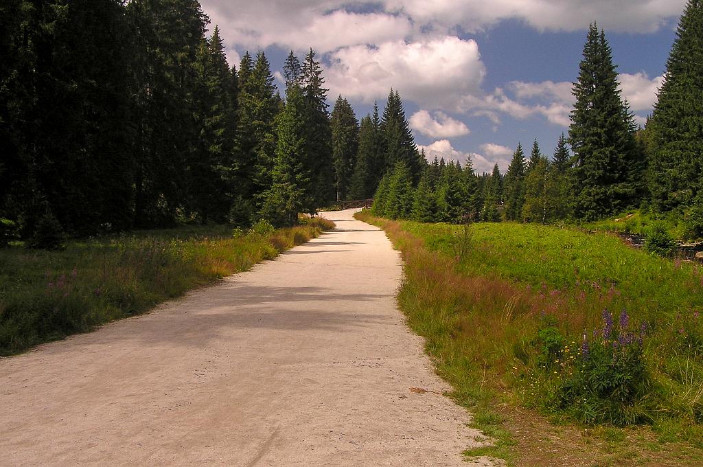 P8070033.jpg - Šumava