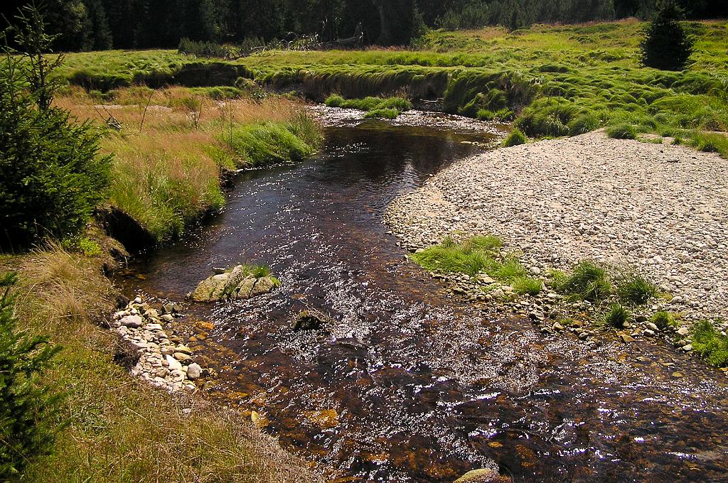 P8070086.jpg - Šumava