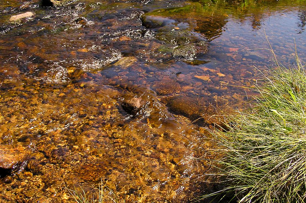 P8080208.jpg - Šumava