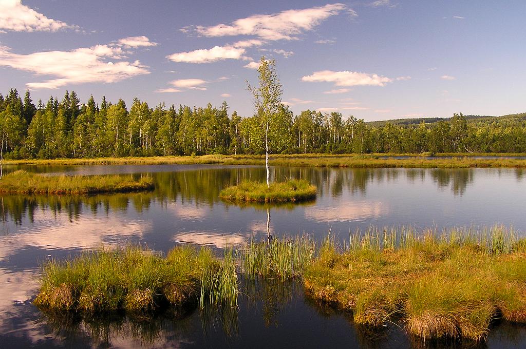 P8080247.jpg - Šumava