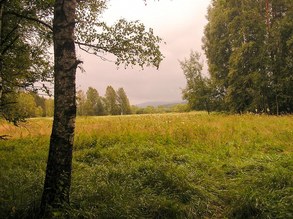 P8090319.jpg - Šumava