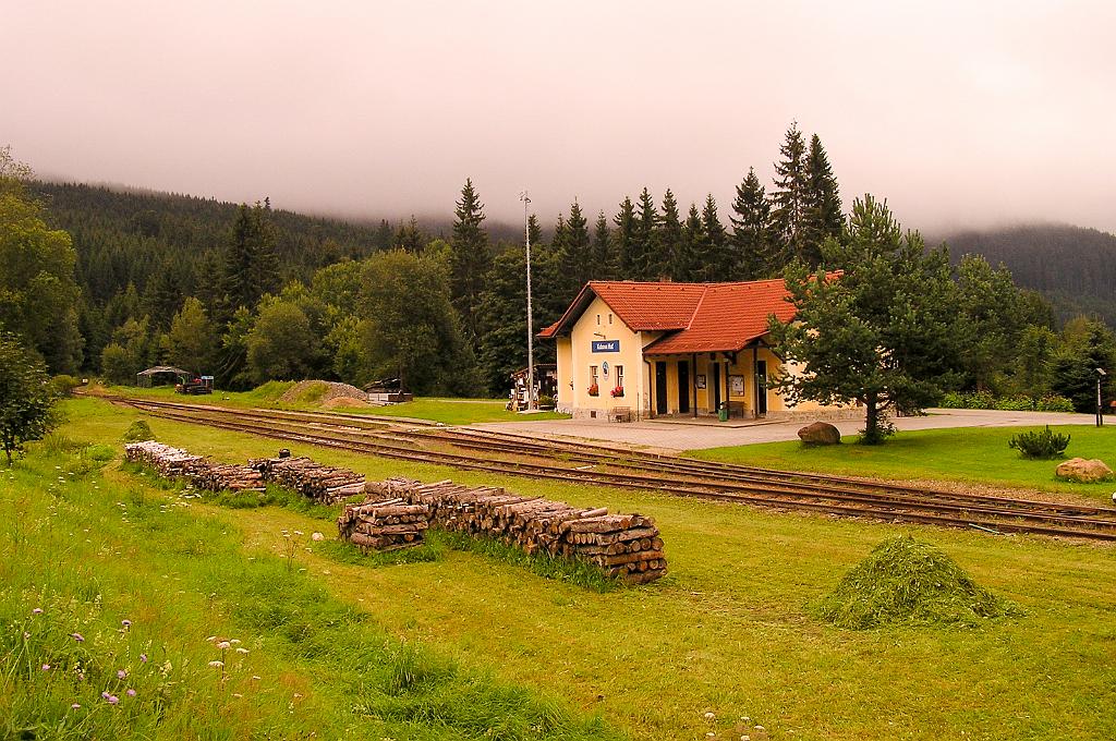 P8120486.jpg - Šumava