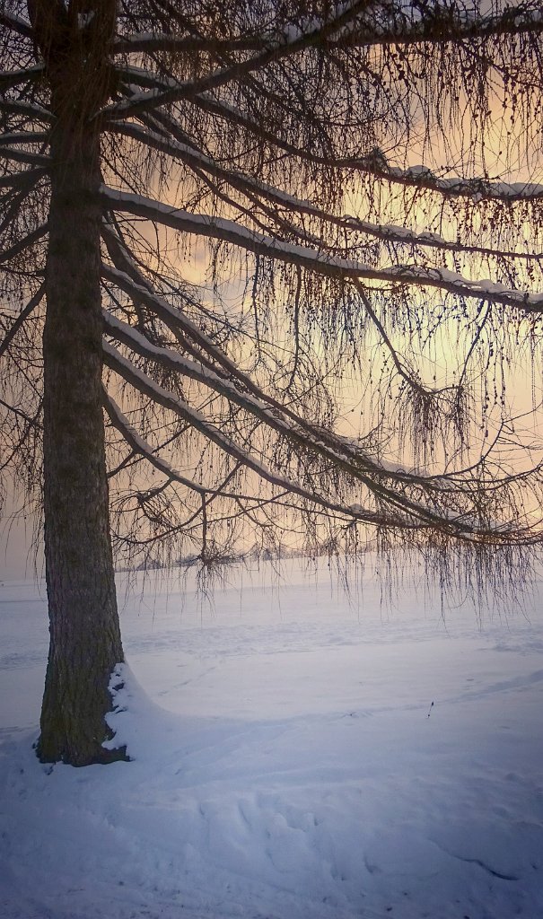 DSC04425_.jpg
