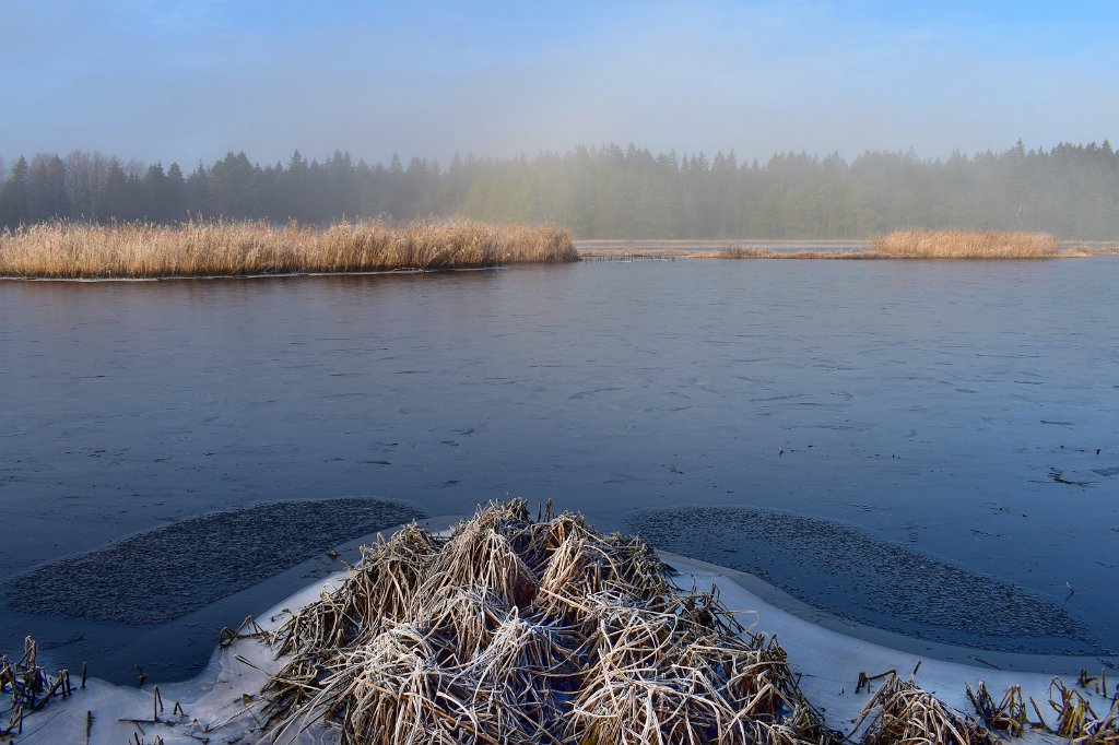 DSC_0752_1.jpg