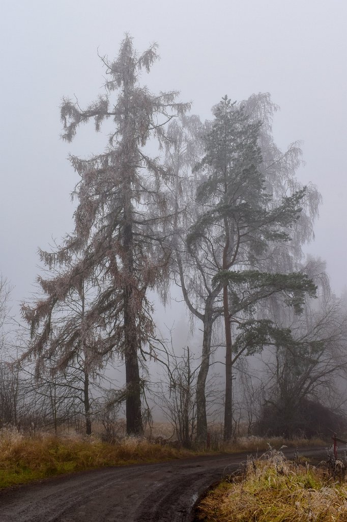 DSC_0846_11.jpg