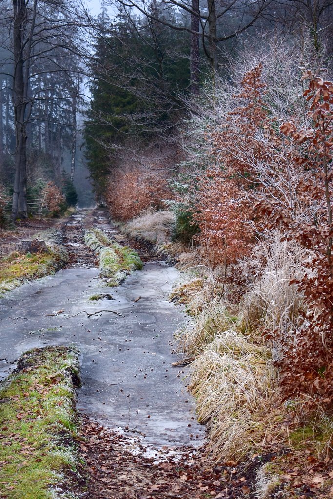 DSC_0990_1.jpg